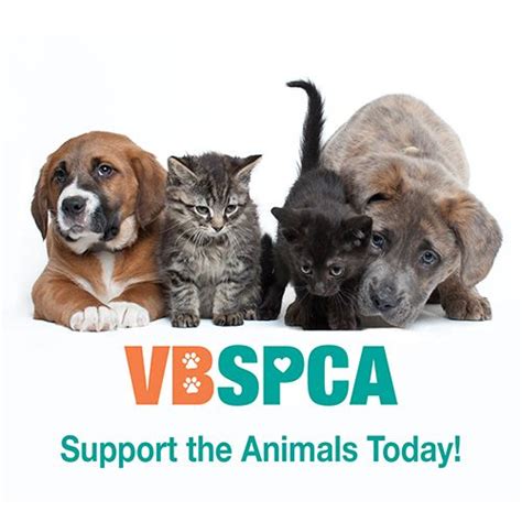 Spca va beach - Up for adoption: Except where noted, these animals are available at the Virginia Beach Society for Prevention of Cruelty to Animals, 3040 Holland Road. Call 427-0070. Call 427-0070. Adoptions ...